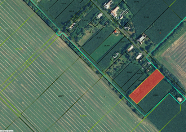 Slnečný pozemok na výstavbu rodinného domu.